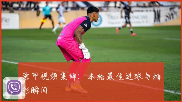 意甲视频集锦：本轮最佳进球与精彩瞬间